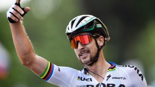 DET MÅTTE BLI SAGAN
