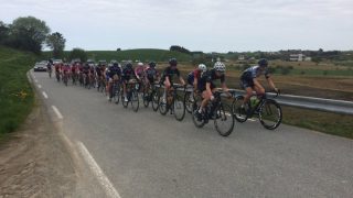 DRAMA PÅ JÆREN: En kalv gikk amok da Norgescupen skulle avvikles i Rogaland søndag. FOTO: Norges Cykleforbund.
