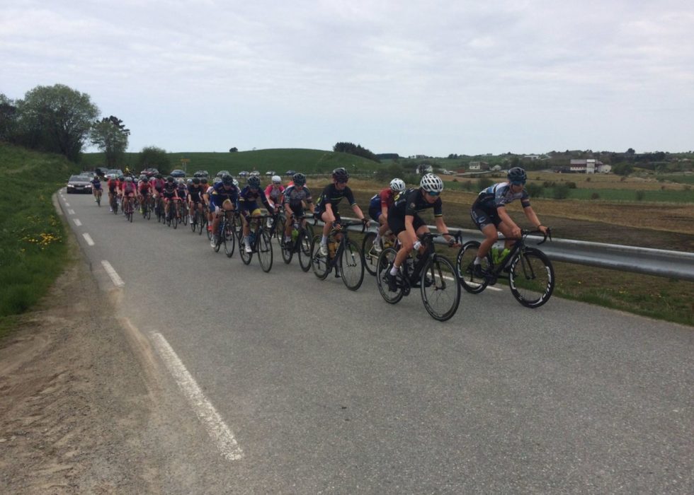 DRAMA PÅ JÆREN: En kalv gikk amok da Norgescupen skulle avvikles i Rogaland søndag. FOTO: Norges Cykleforbund.